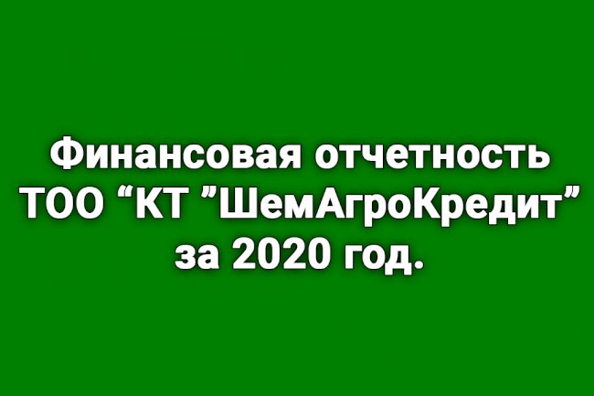 Финансовая отчетность ТОО ''КТ ''ШемАгроКредит'' за 2020 год