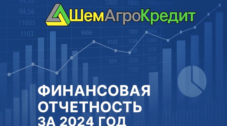 Финансовая отчетность ТОО «Кредитное товарищество «ШемАгроКредит» за 2024 год