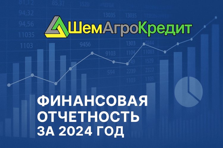 Финансовая отчетность ТОО «Кредитное товарищество «ШемАгроКредит» за 2024 год 